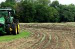 Grinter's Sunflower Farm