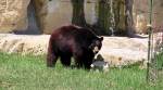 Utility Park Zoo in Clay Center