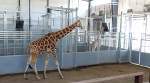 Topeka Zoo - Topeka, Kansas