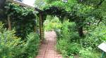 Monarch Waystation #1 - Lawrence, Kansas