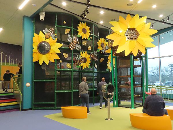 Bison Stampede - Big Basin Prairie Preserve Wildlife Area