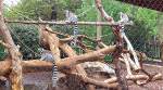 Lee Richardson Zoo - Garden City, Kansas