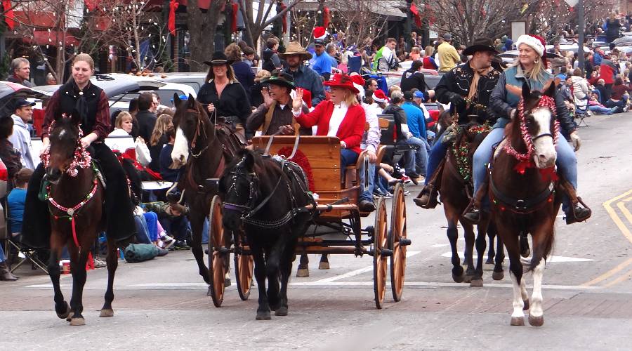 Thunder'n Hooves in the horse drawn Lawrence Chistmas Parade