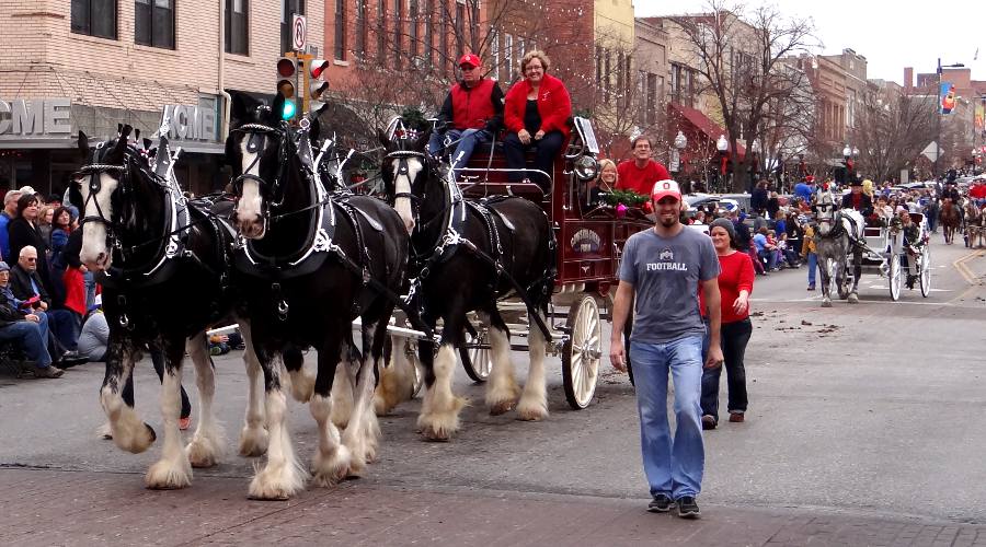 Cowskin Creek Farm Clydesdales in the Lawrence horse drawn Christmas Parade
