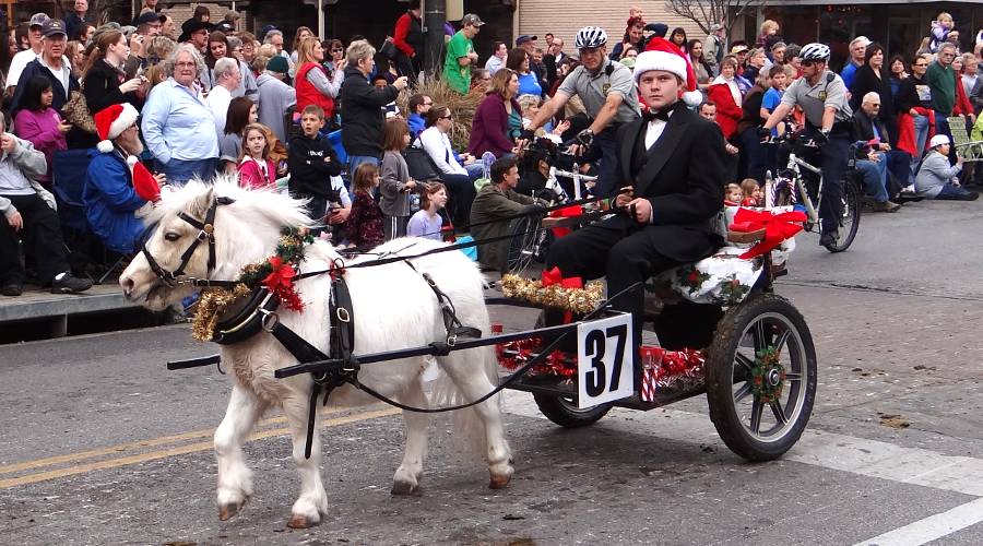 Rockin RC horse drawn wagon