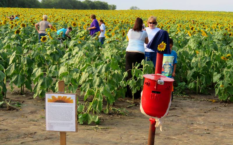 Grinter farm money tube - Lawrence, Kansas