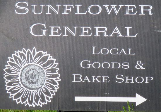 Grinter's Sunflower Farm - Lawrence, Kansas