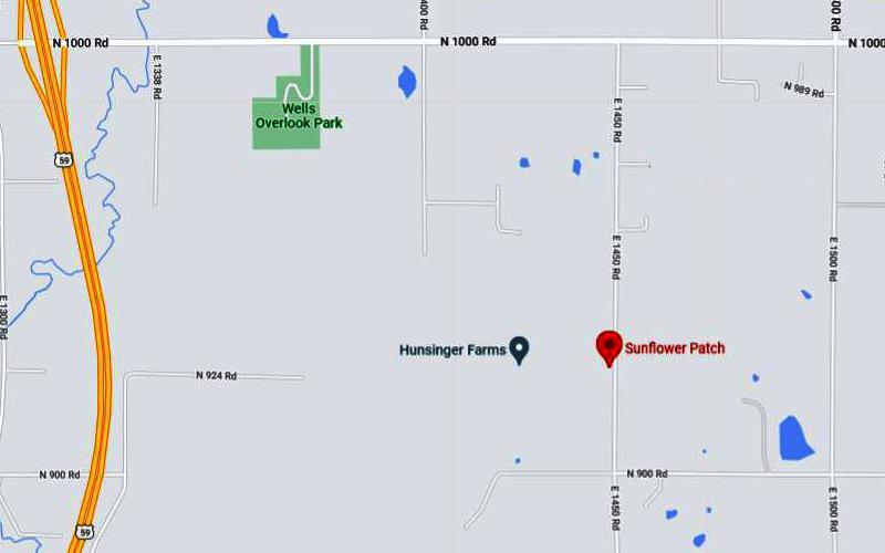 Hunsinger Sunflower Patch Map - Lawrence, Kansas