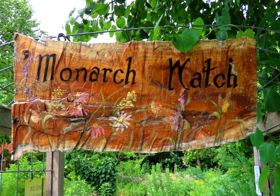 Monarch Watch -  Lawrence, Kansas