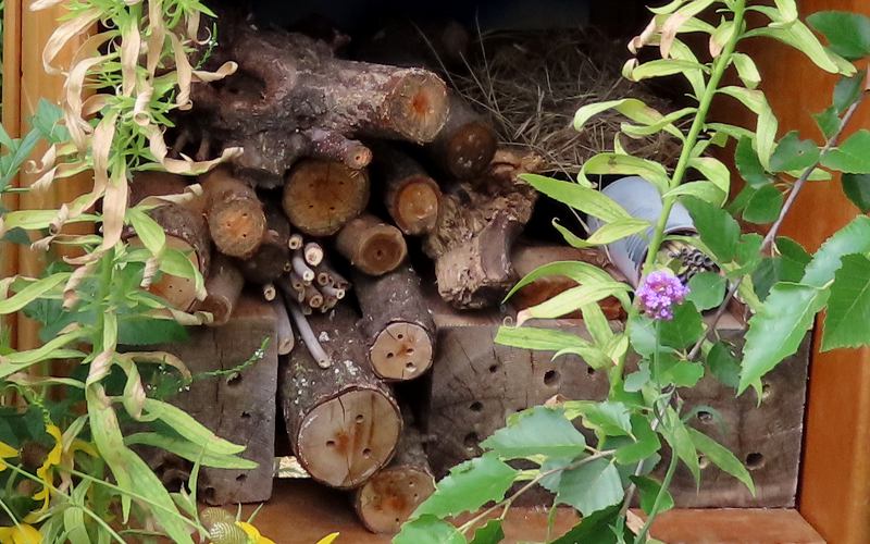 Bee hotel made of paper and wood