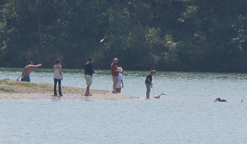 Shawnee Mission Lake off-leash dog area