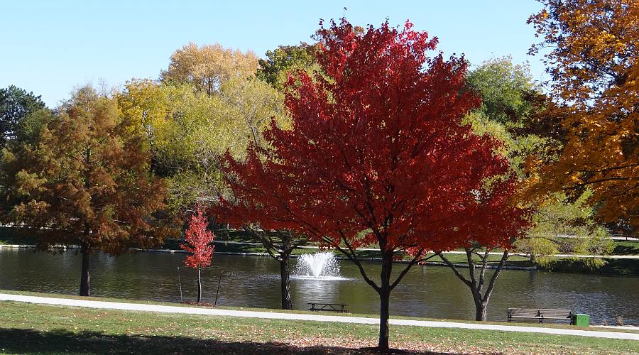 Sar-Ko-Par Trails Park in autumn