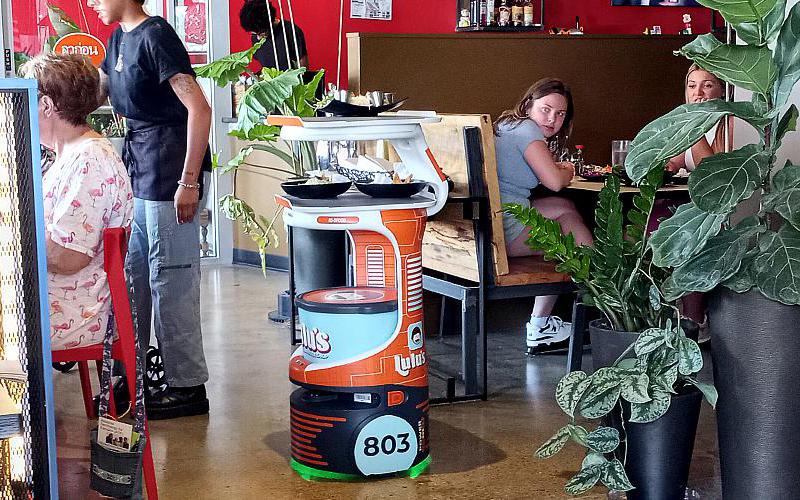 Service robot at Lulu's Thai Noodle Shop