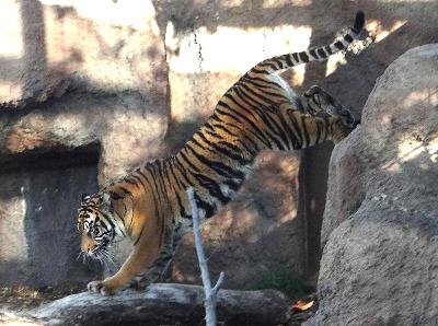 Topeka Zoological Park - Topeka, Kansas