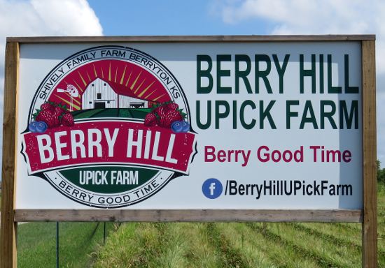 Berry Hill UPick Farm Sunflowers - Berryton, Kansas