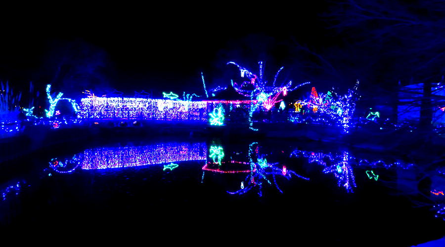 Zoo Lights - Topeka, Kansas