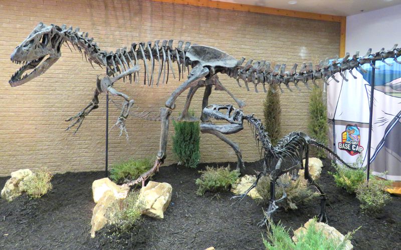 Kansas Children's Discovery Center dinosaur exhibit has fossils, eggs