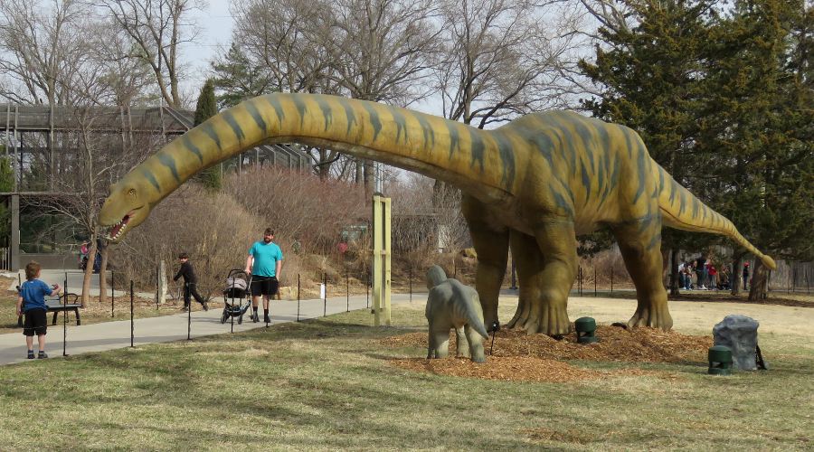 Kansas Children's Discovery Center dinosaur exhibit has fossils, eggs