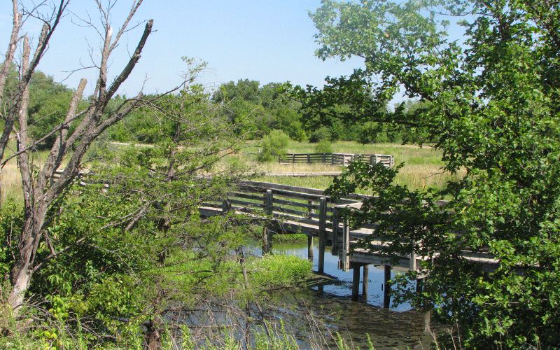 Chisholm Creek Park nature trail near Great Plains Nature Center