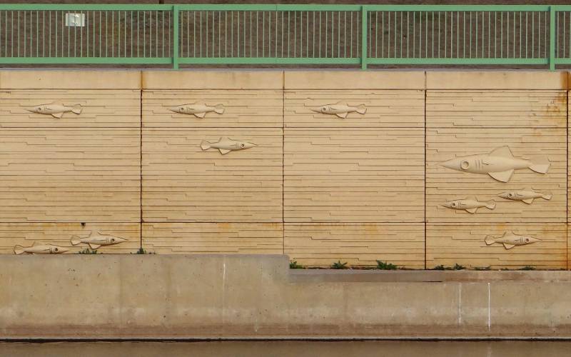 Big Arkansas River retaining wall fish art - Wichita, Kansas