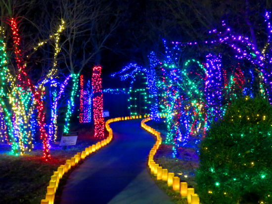 Botanica Illuminations - Wichita, Kansas