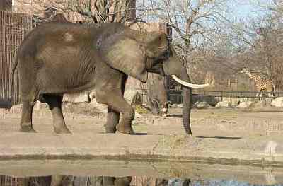 Sedgewick County Zoo - WIchita, Kansas